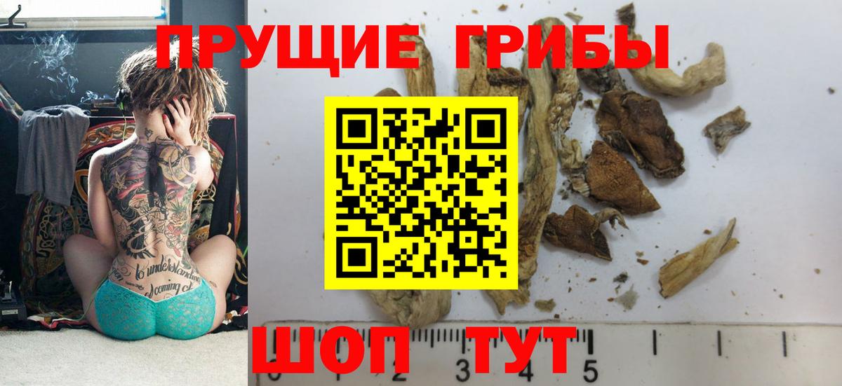 Галлюциногенные грибы Magic Shrooms Асино