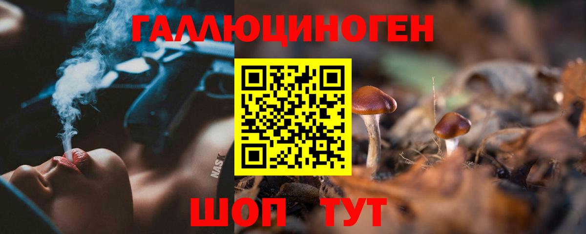 Асино  Псилоцибиновые грибы ЛСД  Вход с VPN  Галлюциногенные грибы Cubensis 