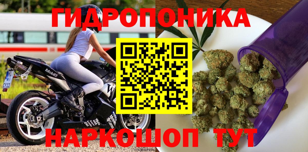 МАРИХУАНА ГИДРОПОН Асино